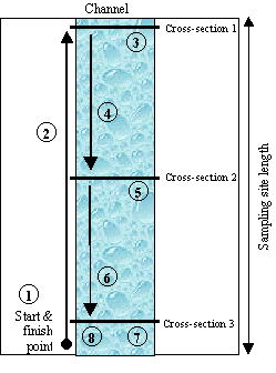 Figure 3.1 Suggested sequence of work at a wadeable sampling site with three cross-sections.